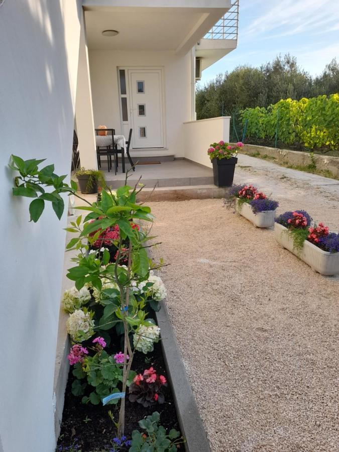 Apartmani Sara Bibinje Buitenkant foto