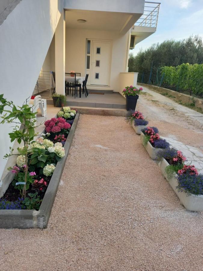 Apartmani Sara Bibinje Buitenkant foto