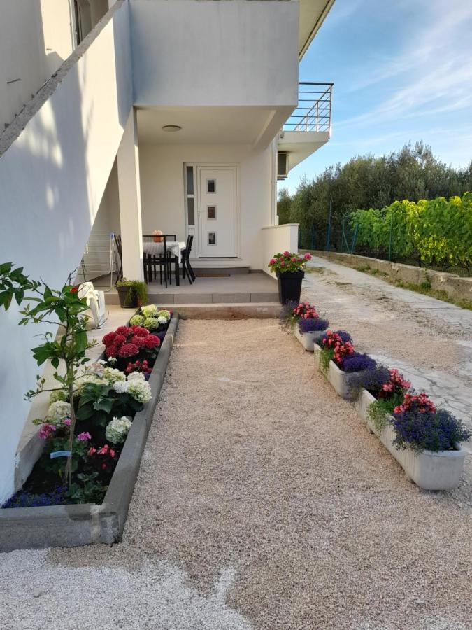 Apartmani Sara Bibinje Buitenkant foto